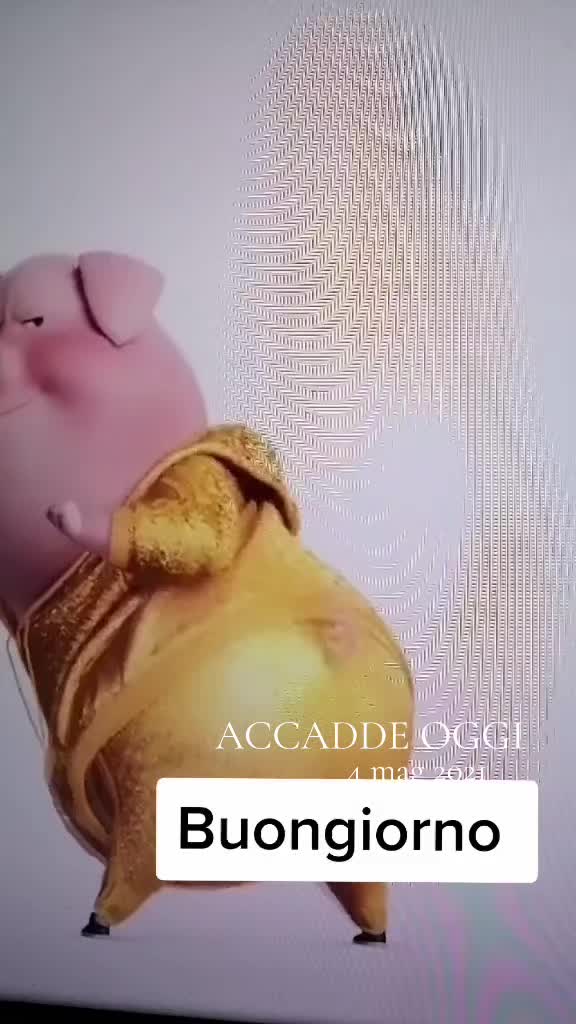 @eldoppiator