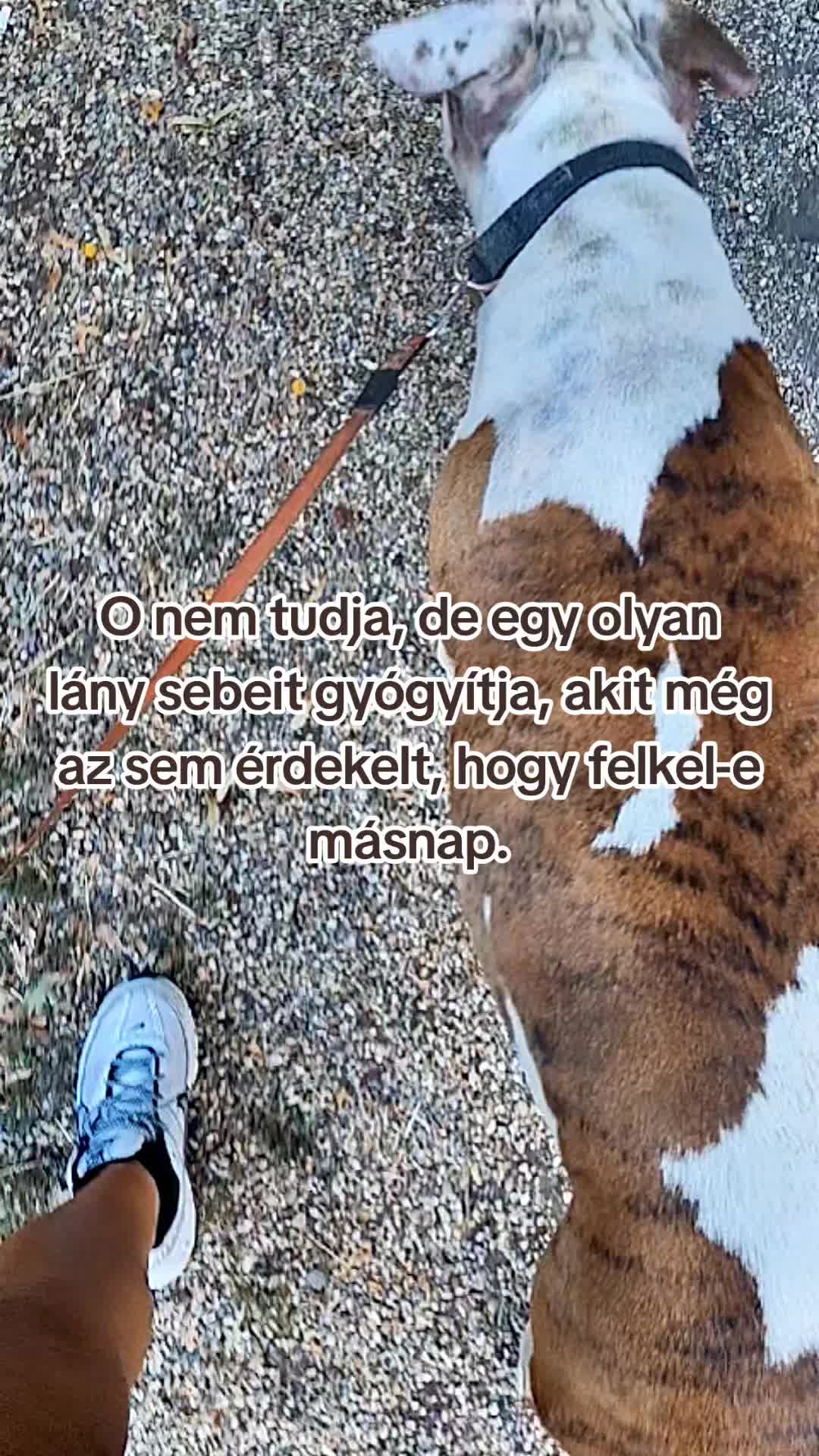 @๐พ๐๐๐๐๐๐๐๐๐