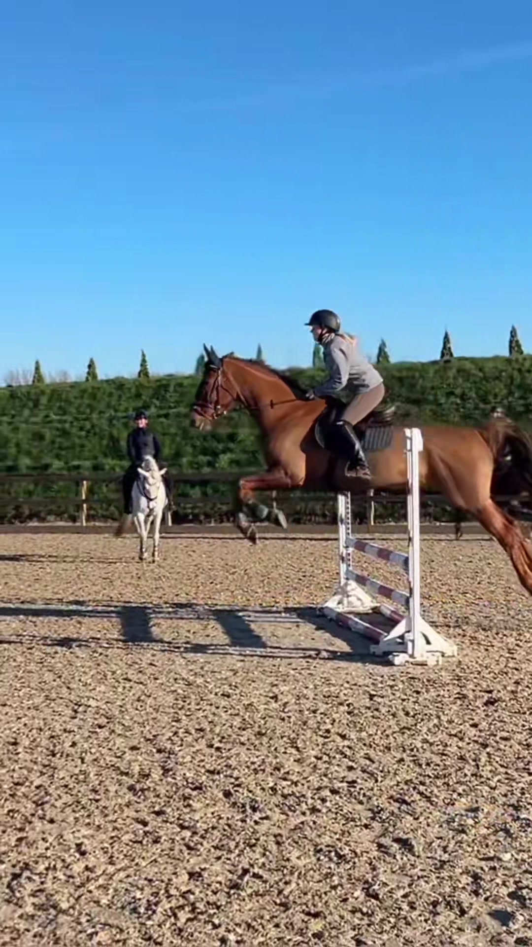 @Kv.equestrian