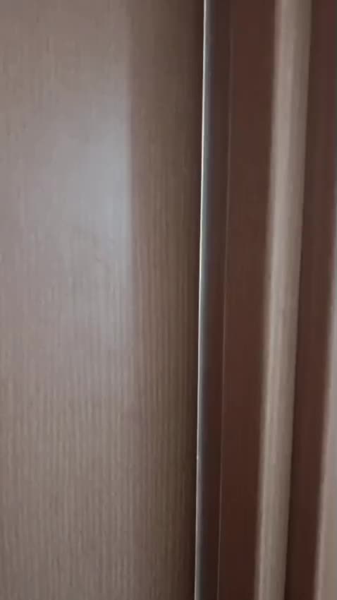 @todosbichosmios