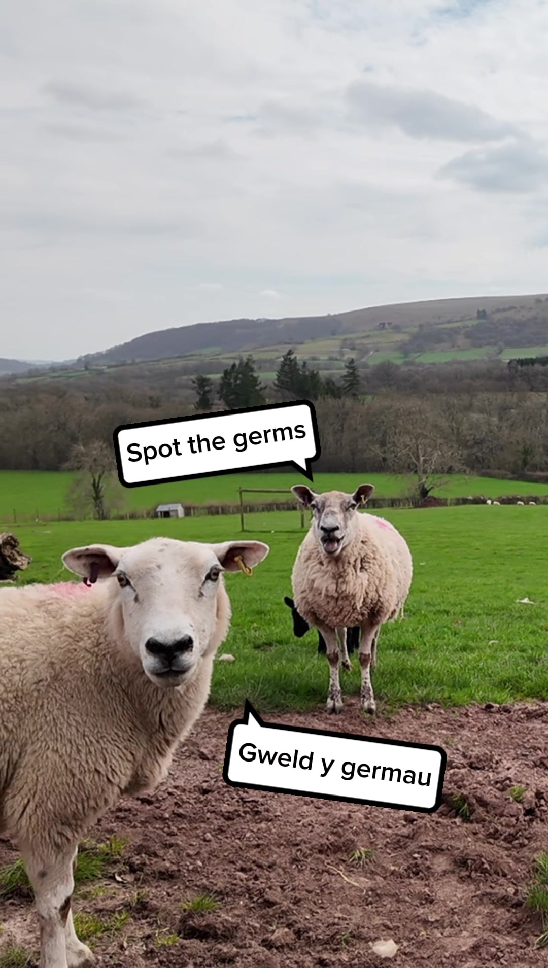 @publichealthwales
