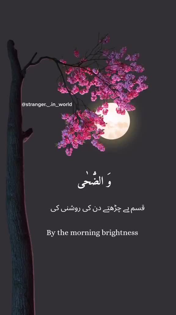 @Laiba Malik 💖✨