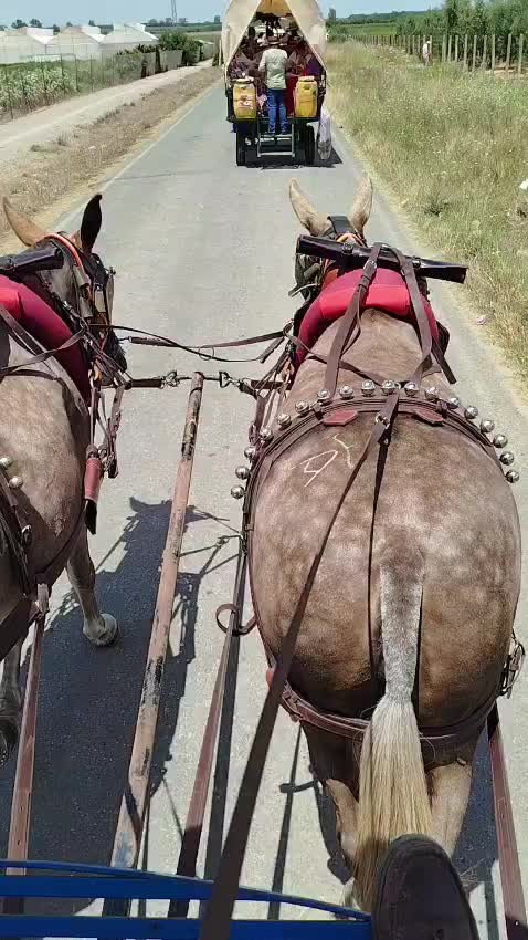 @Ca&ntilde;izo Aguilera Rodr