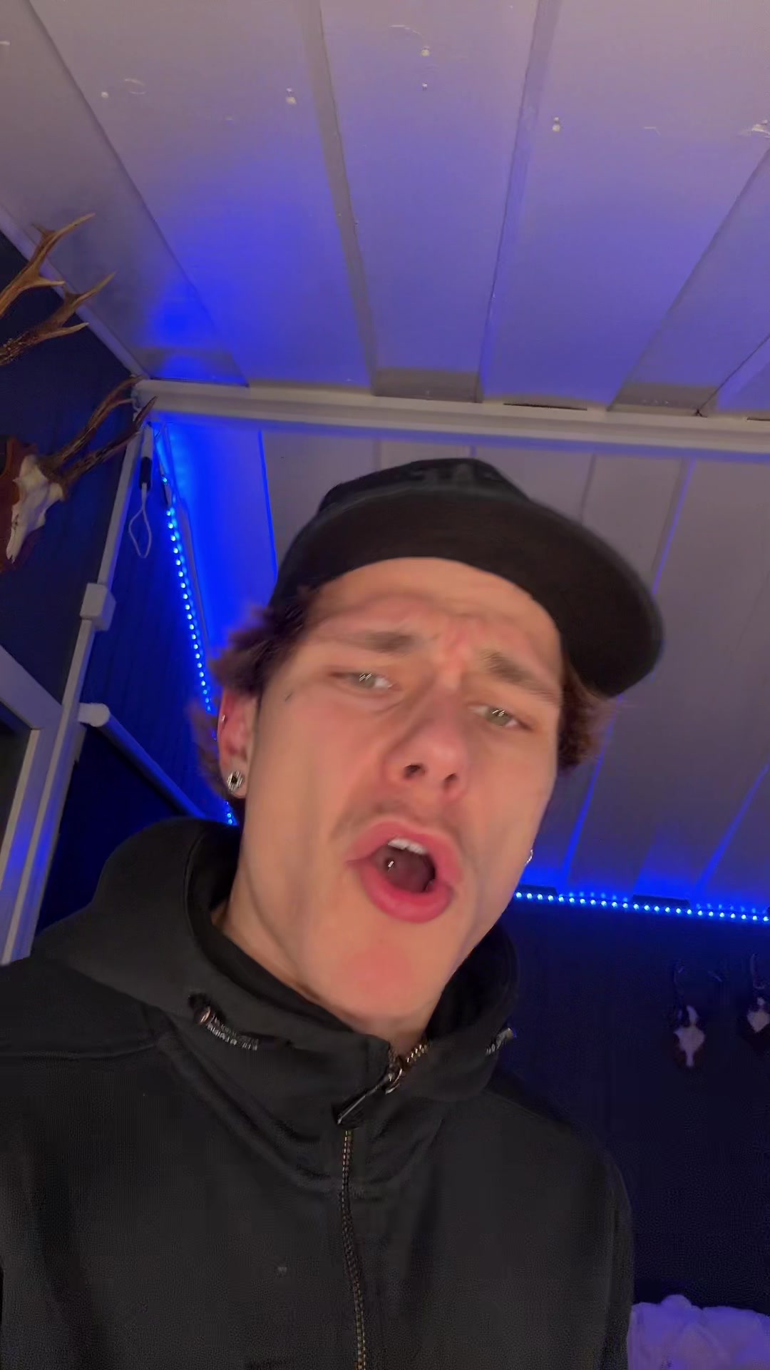 @Knuten