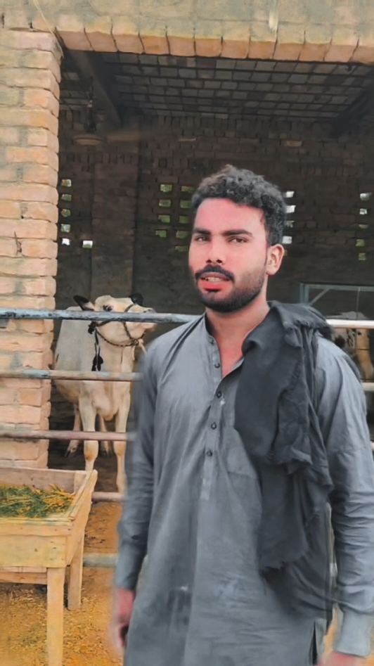 @Gujjar Saehen 🦅🦅🦅🦅🥷🥷