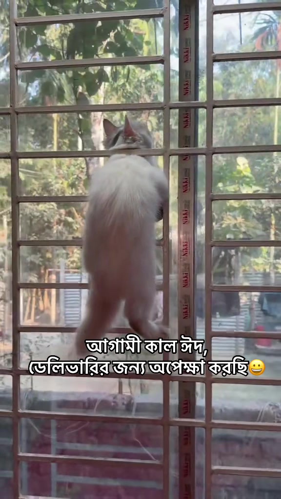 @Riya