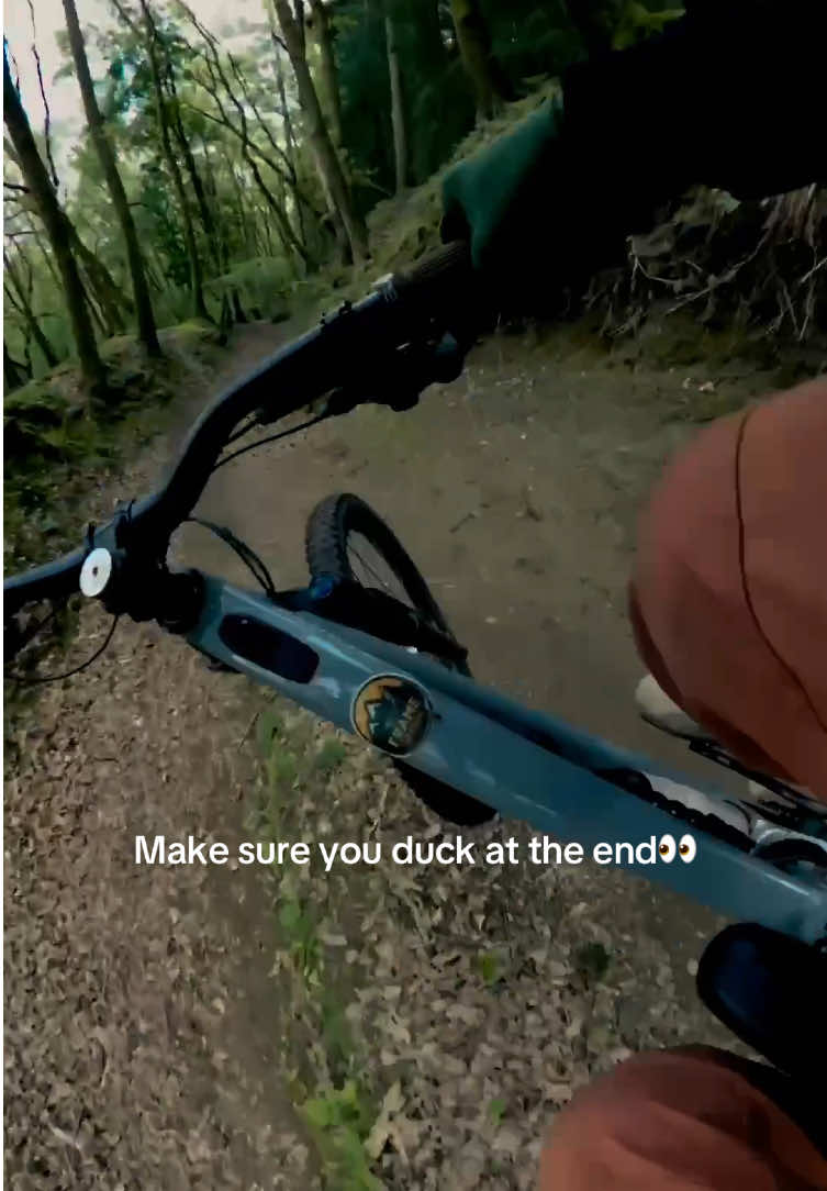 @frameofglen