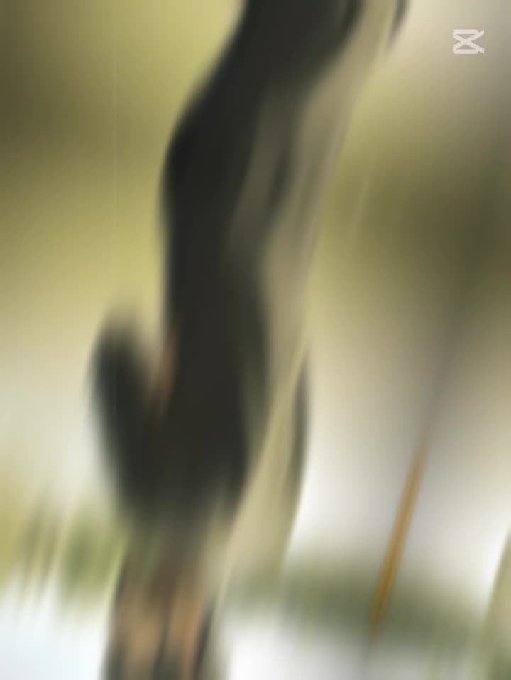 @🅓🅐🅝🅘-🅜🅔🅗🅐🅡