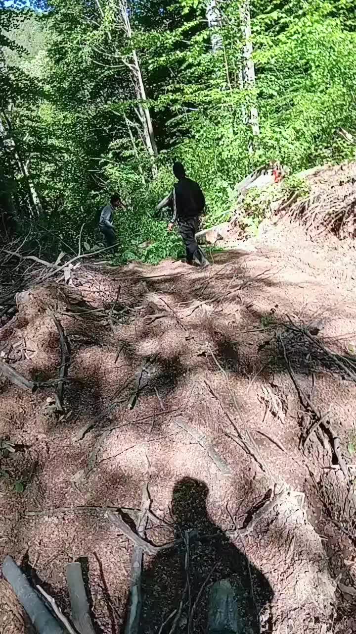 @петар сваляаца