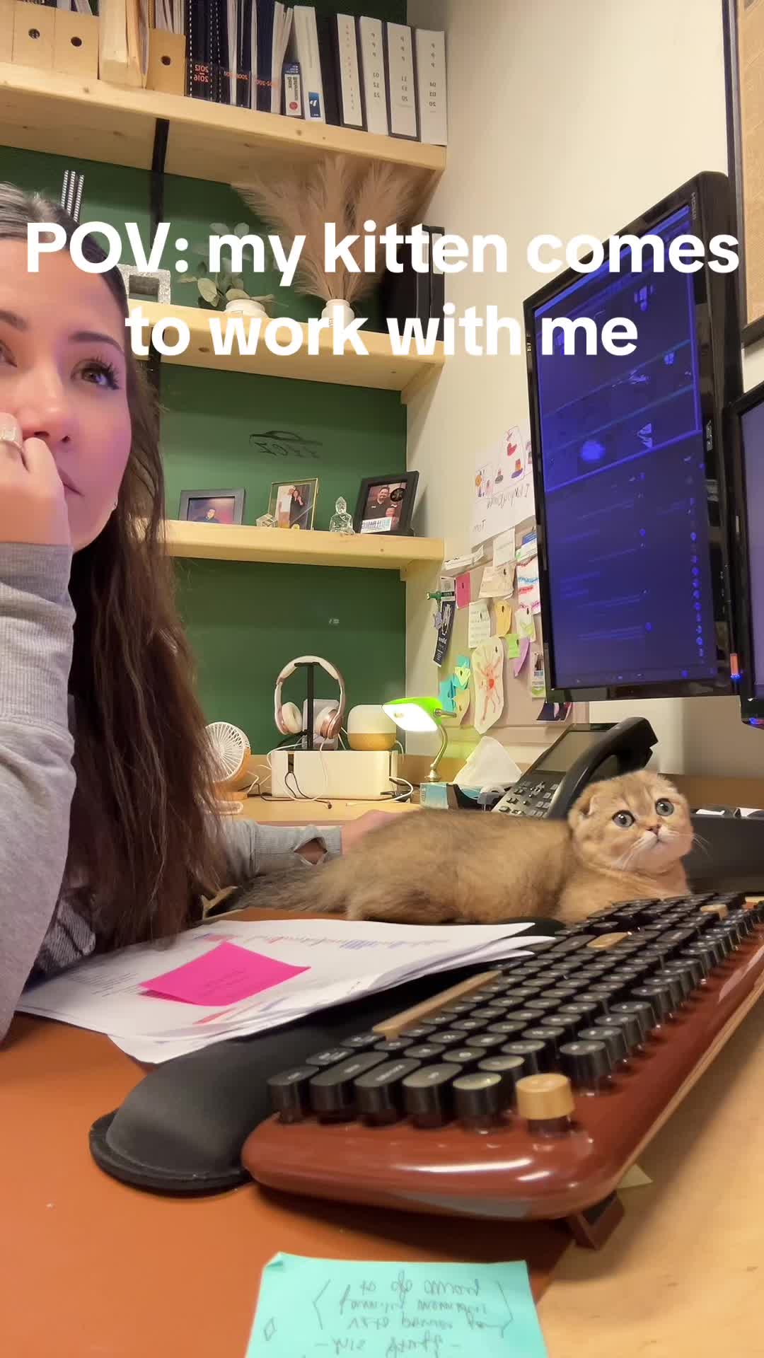 @jordinza