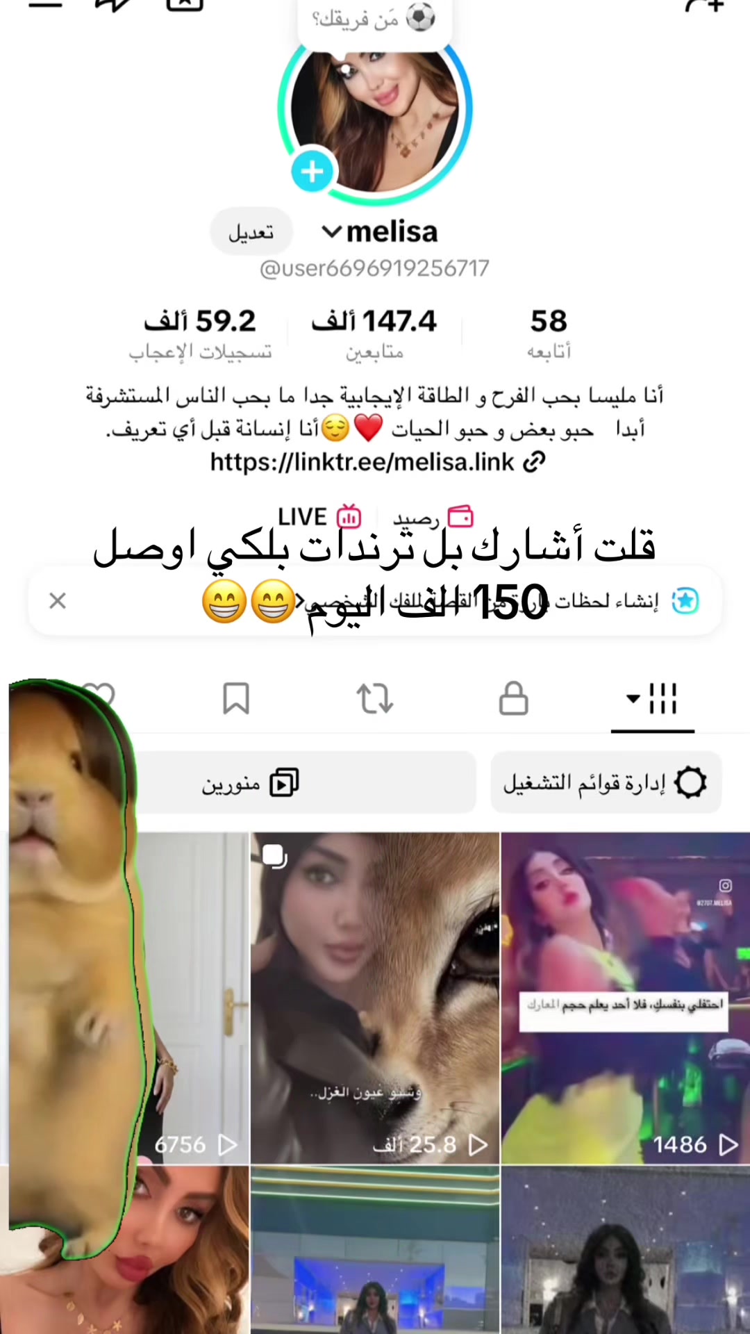 @melisa
