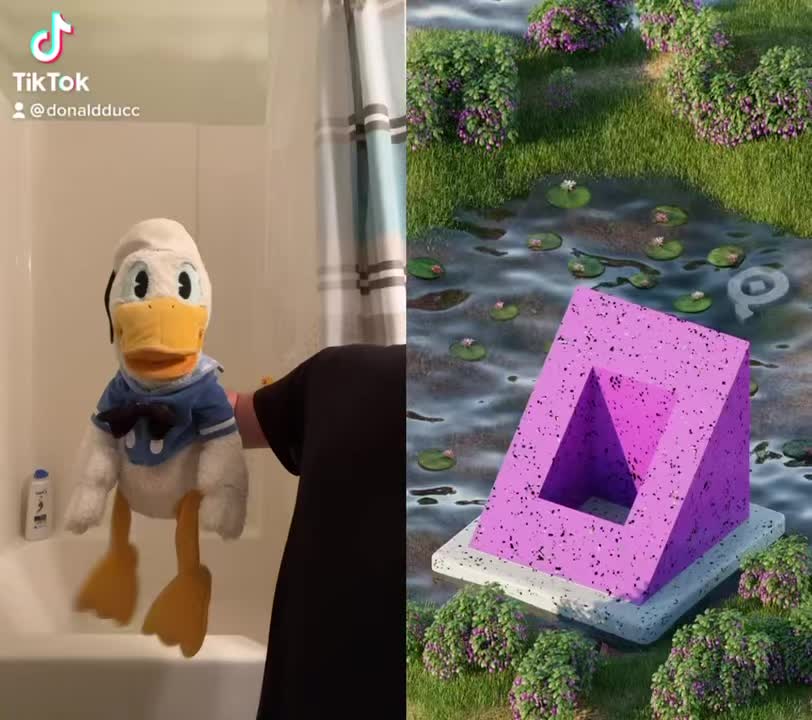 @DonaldDucc 🦆