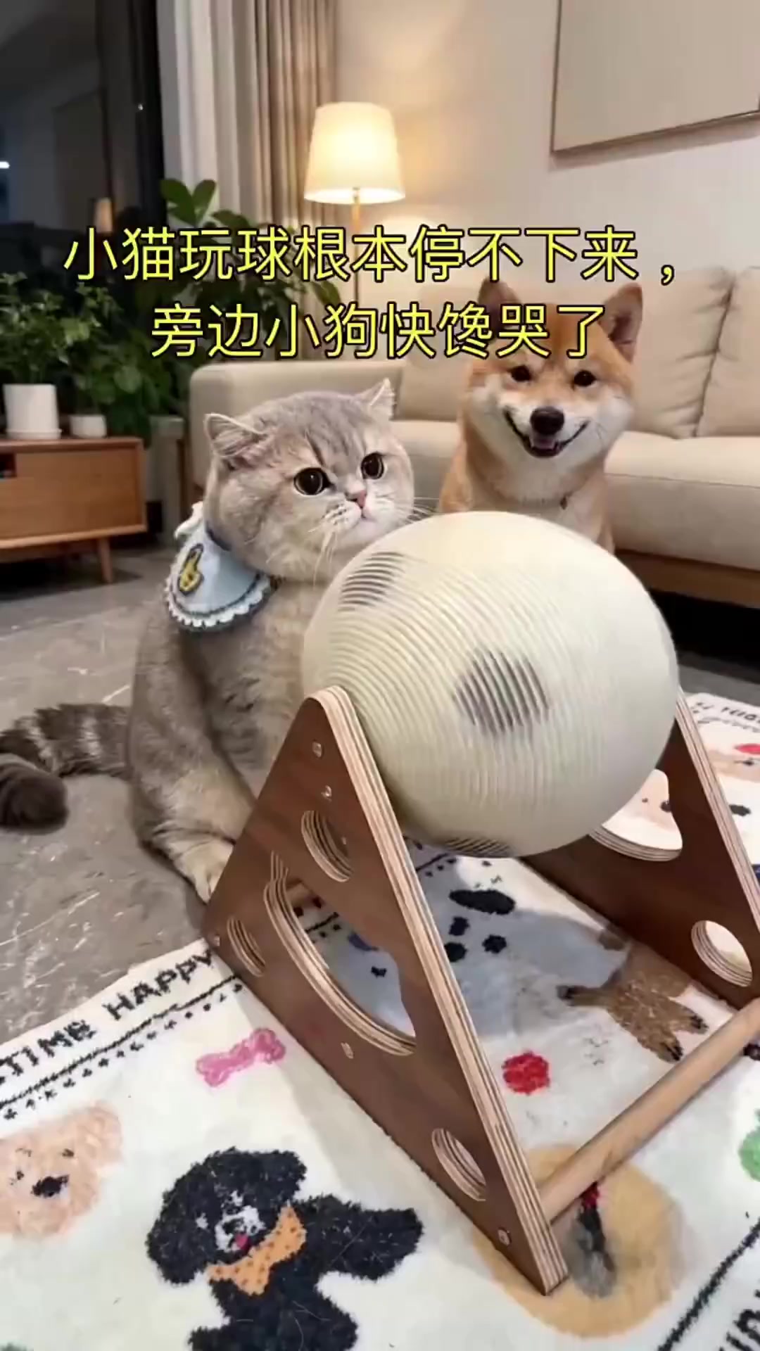 @Minnie2024