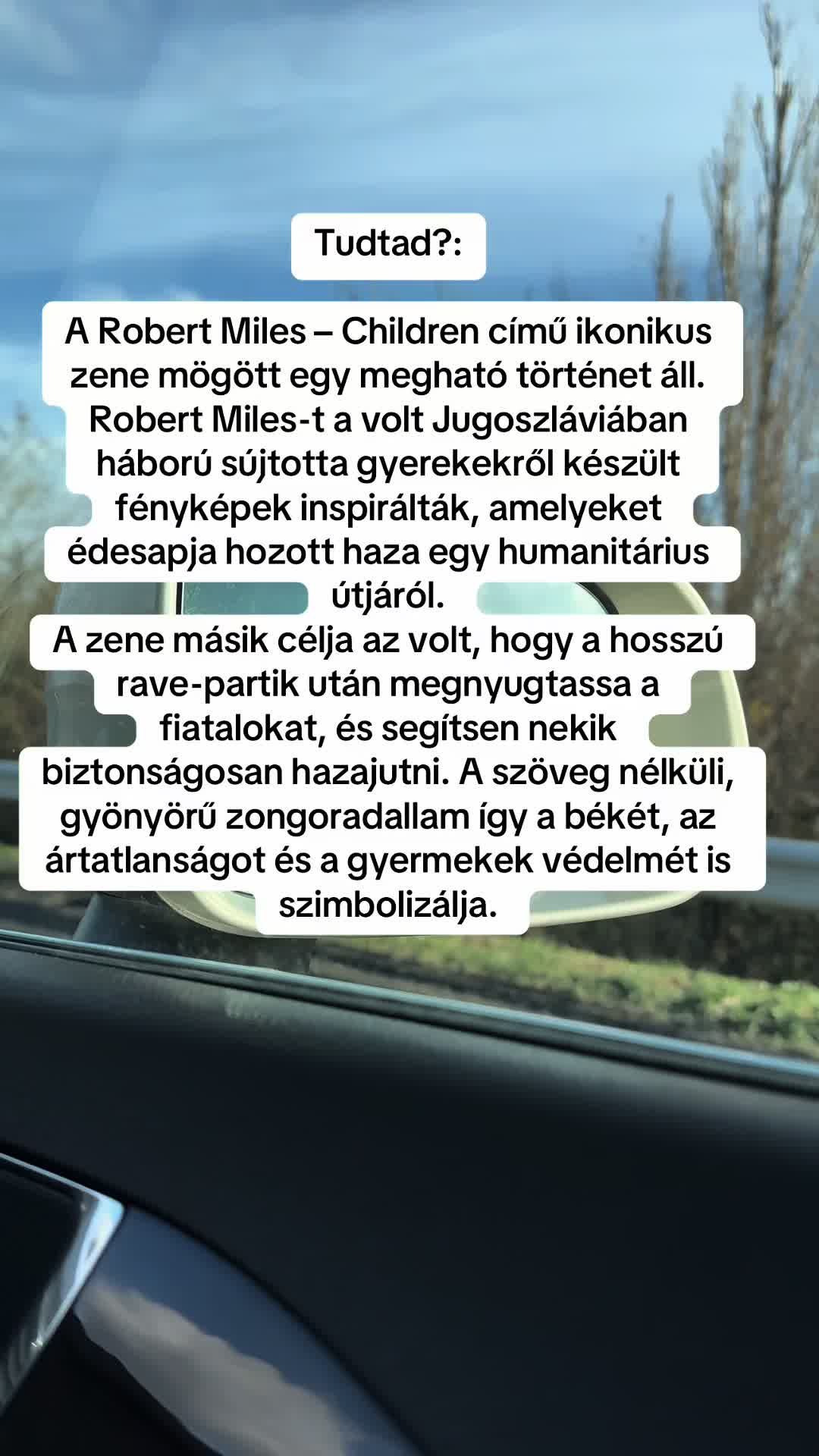 @Zsanzy Taki