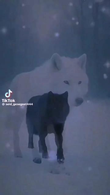 @꧁☬🐺ALEXANDER HIGGINS🐺☬꧂