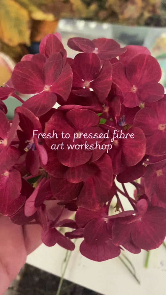 @BloomingFibres