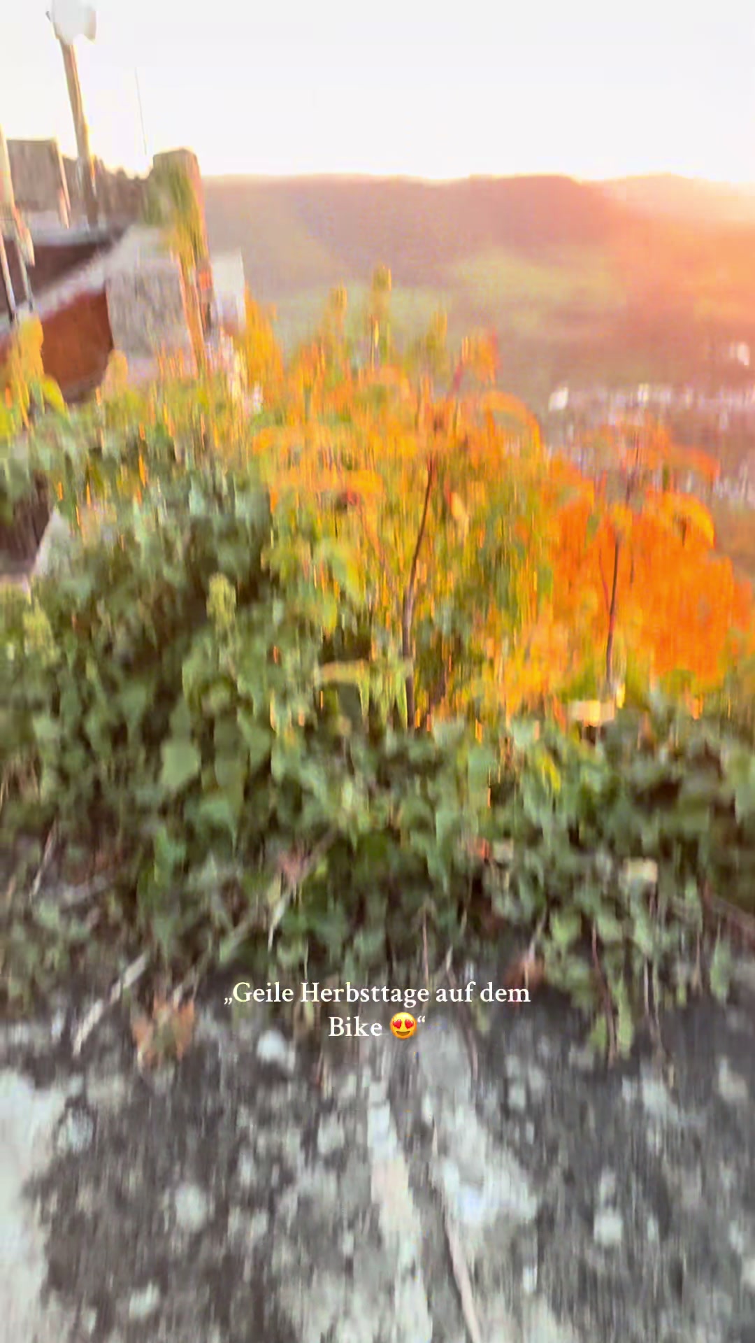 @Luca.mtb🇩🇪🦅✝️