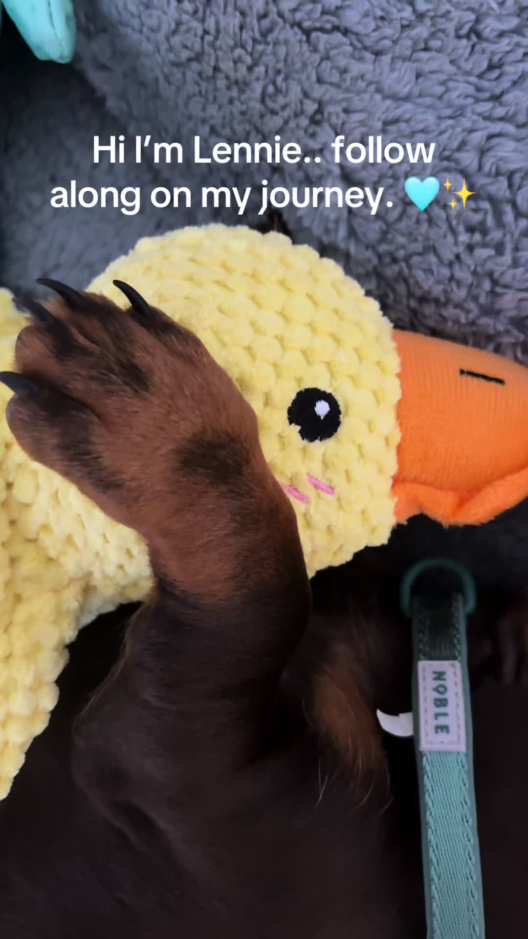 @Lennietheminiature