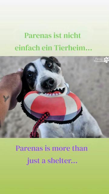 @Parenas Pfotenhilfe