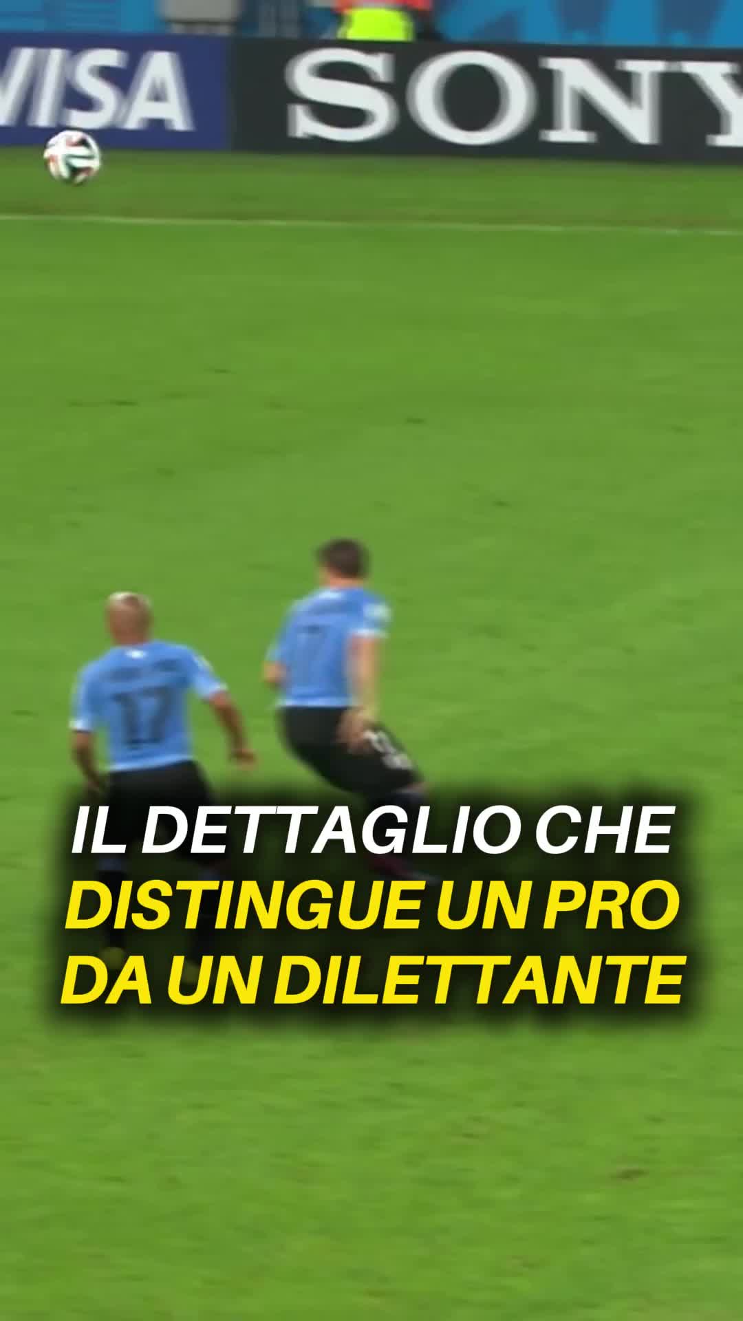 @Giulio Sembinelli
