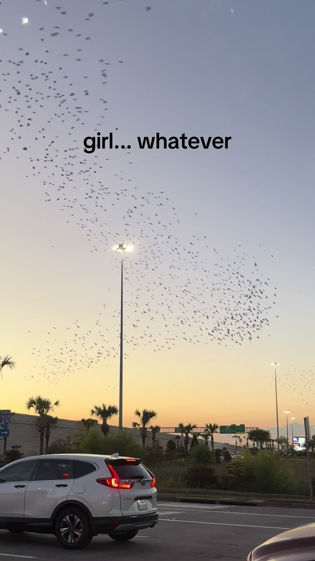 @kami