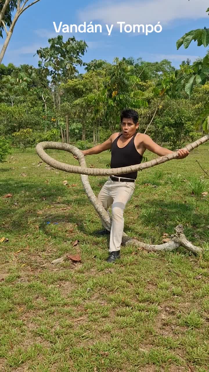 @vandan