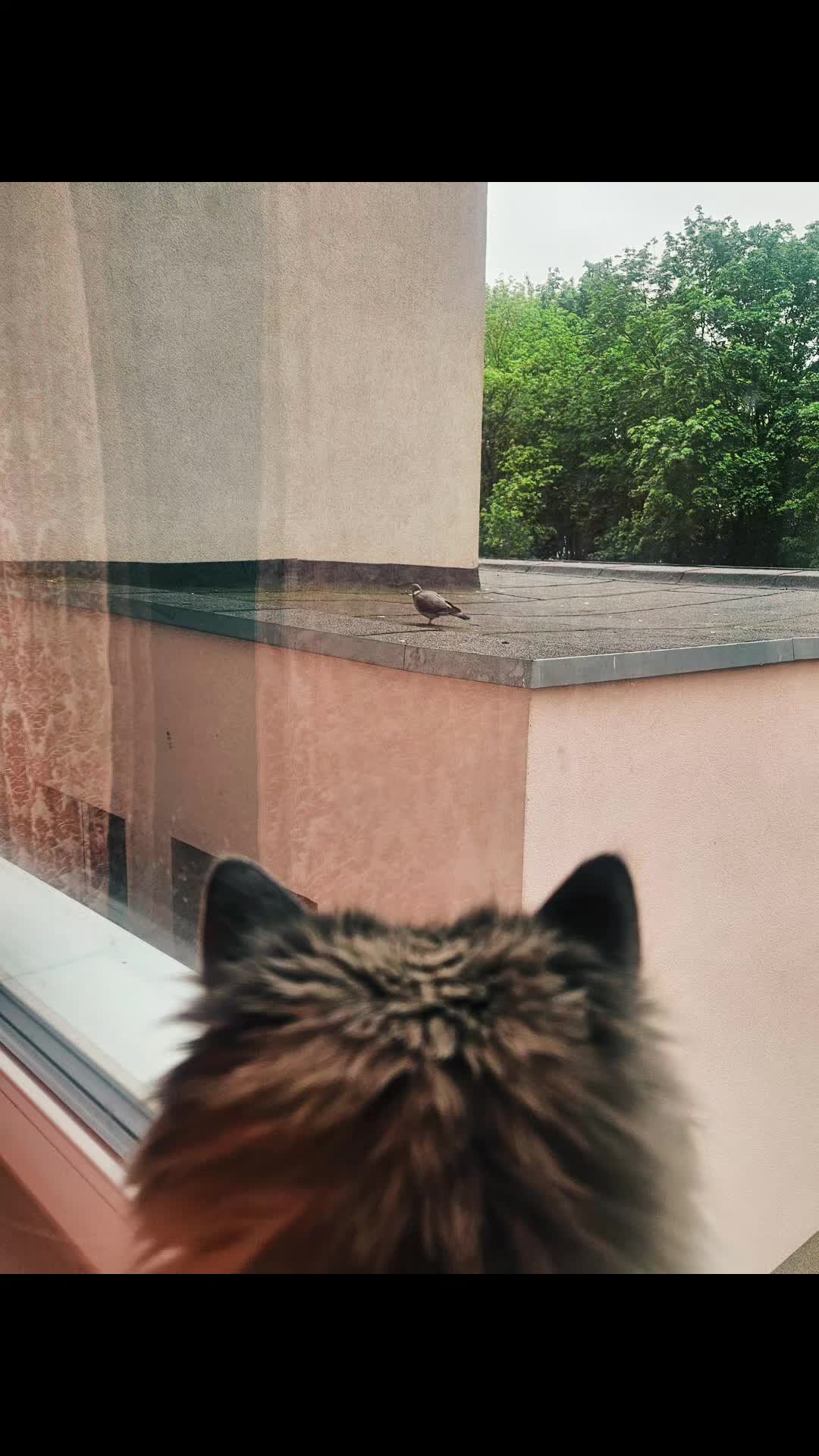 @👀Spojrzeniemówiwszystko👀