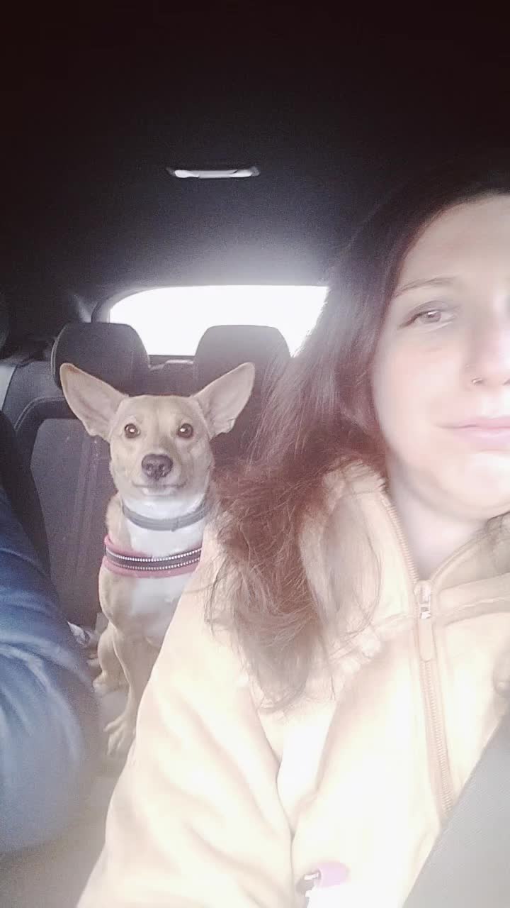 @Emma,Biboo e Silvia♥️🐶😺♥️