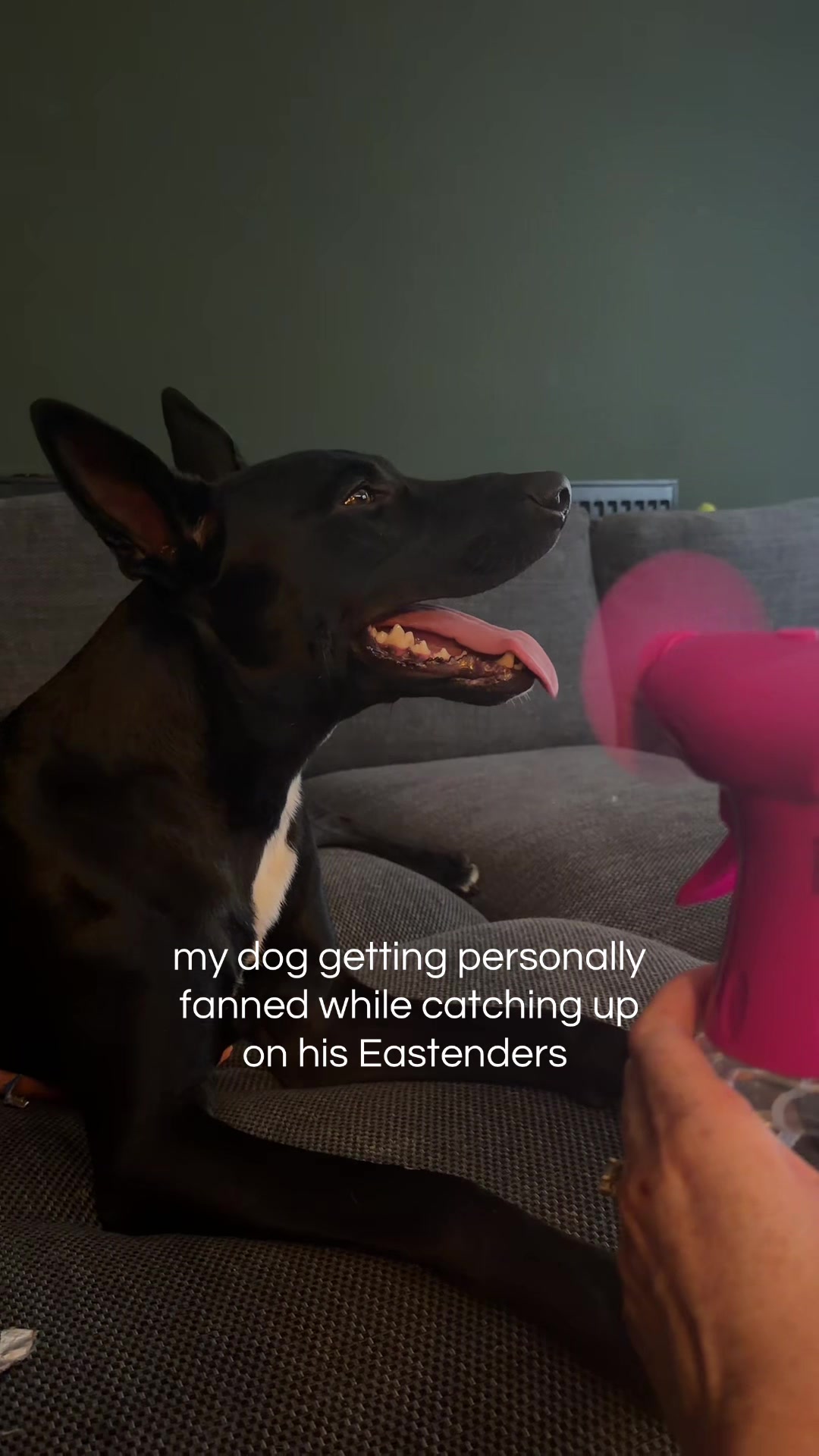 @gigiandphilmitchell