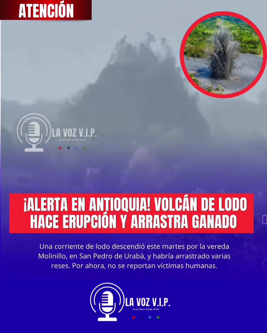 @LA VOZ VIP RADIO ONLINE (col)