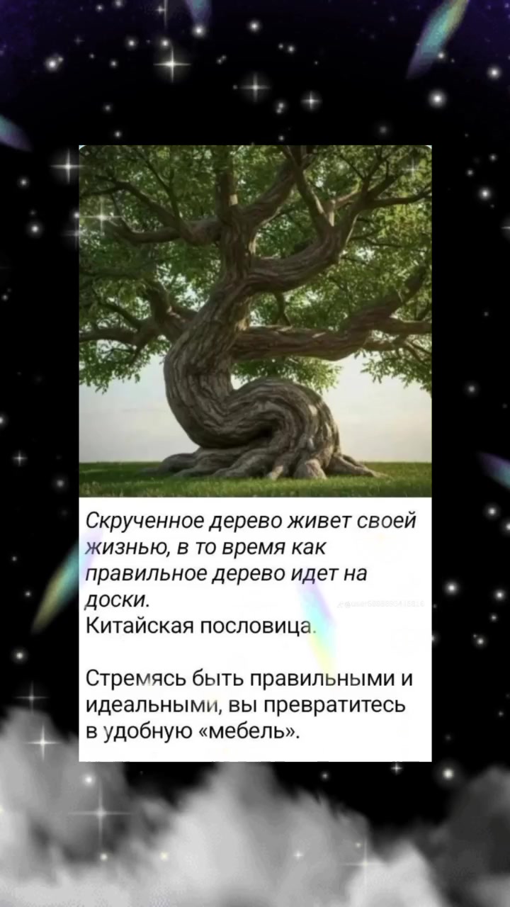 @๐๐๐ช๐ฝ๐ฝ๐ฝ๐ฒ ๐