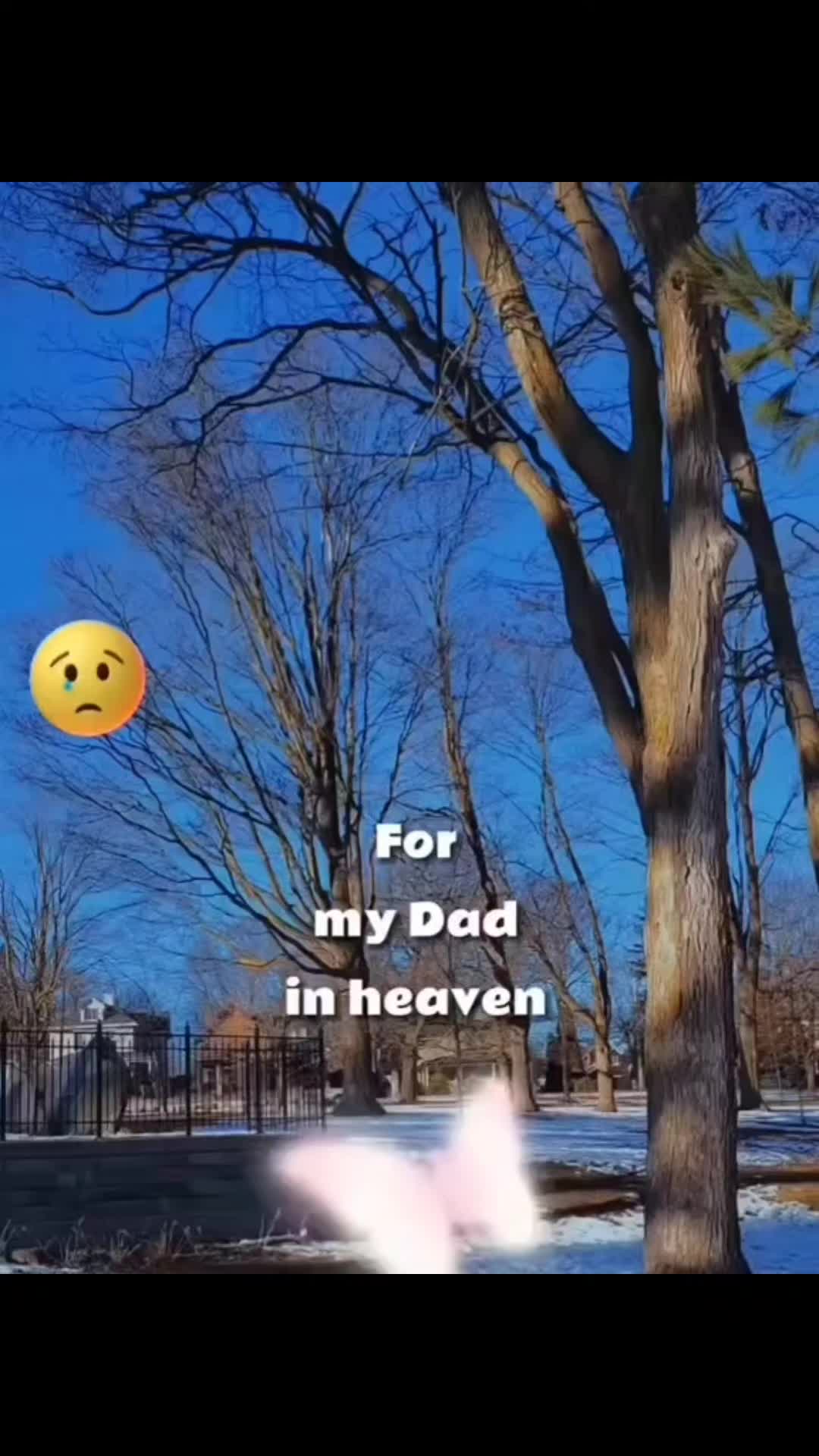 @❖𝗦𝗘𝗕❖🅶❤️𝐀❖🙋