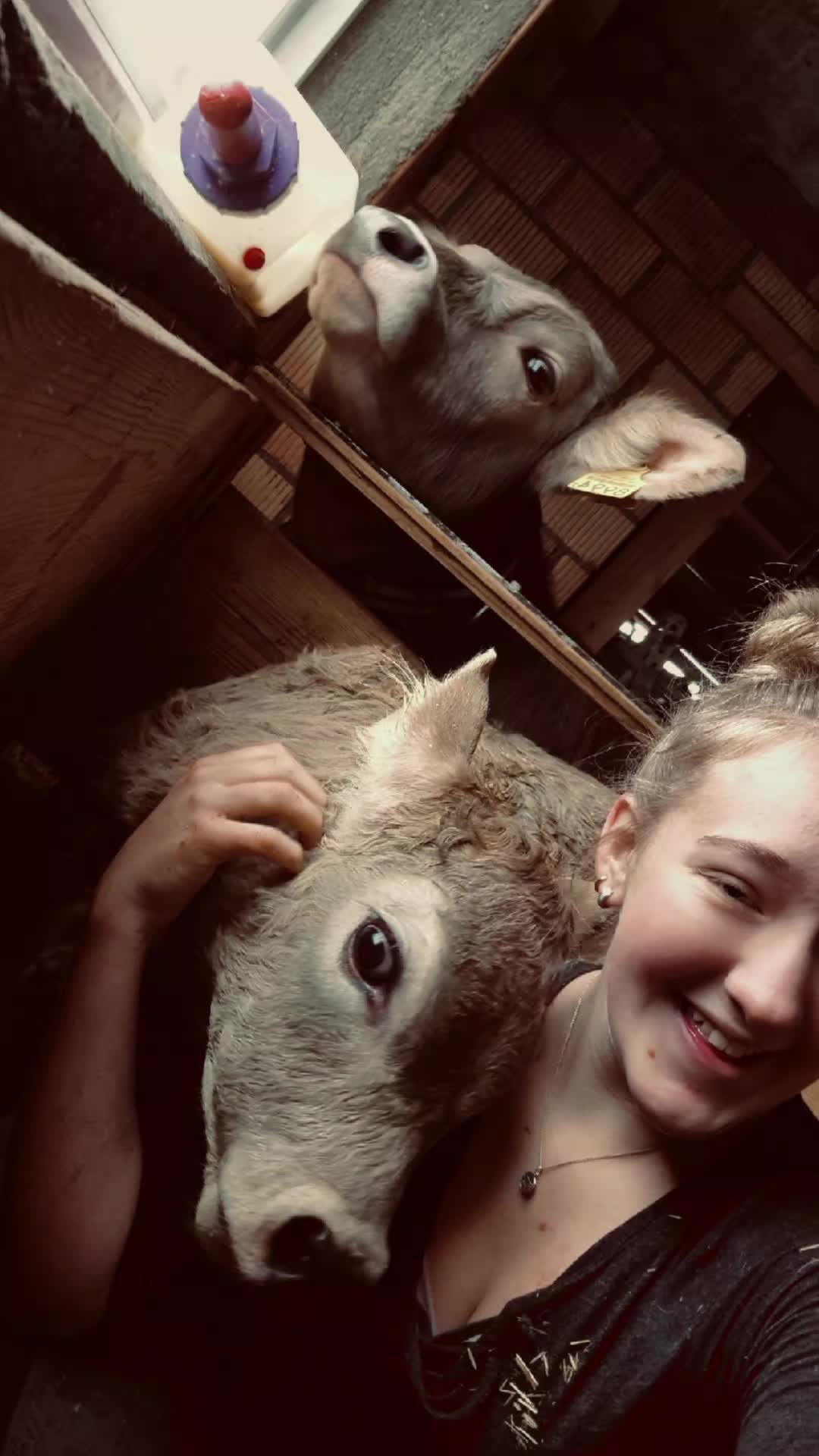 @Juliavohans09