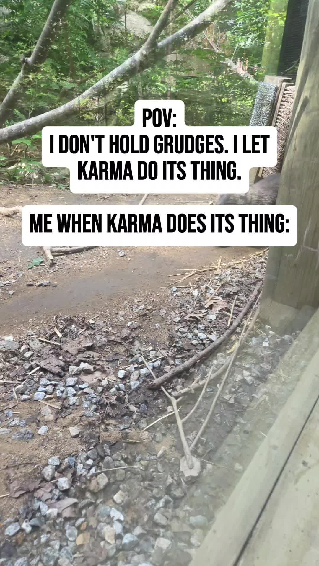 @Donna