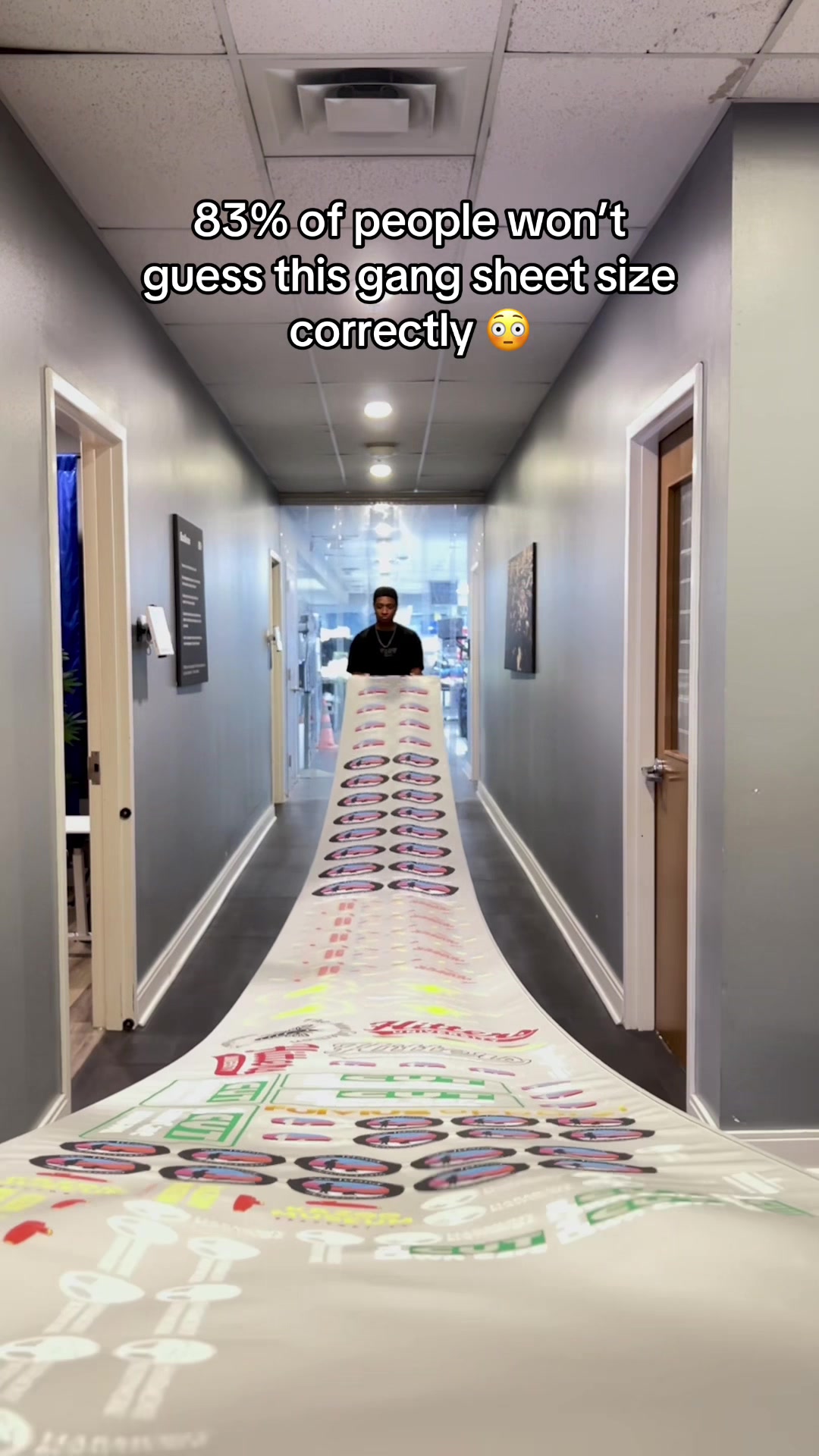 @Ninja Transfers