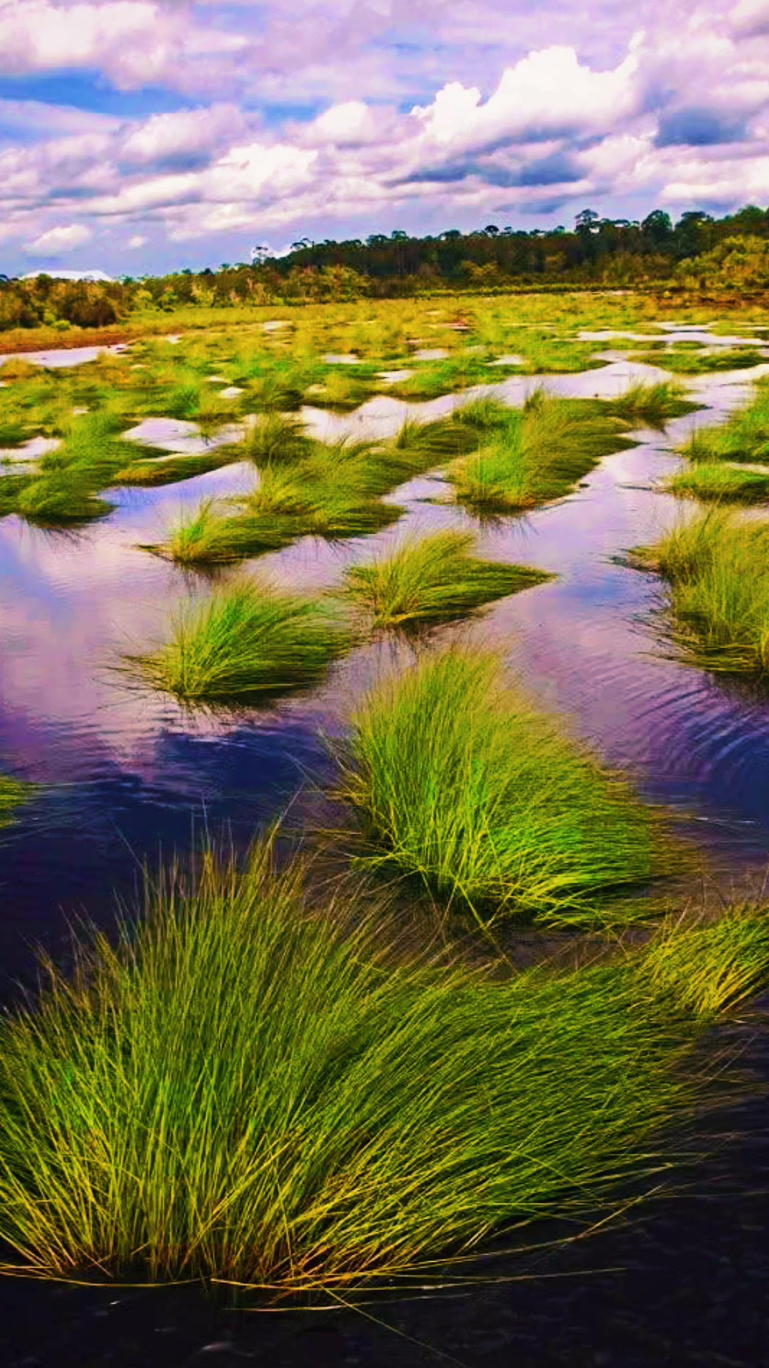 @PR Rai