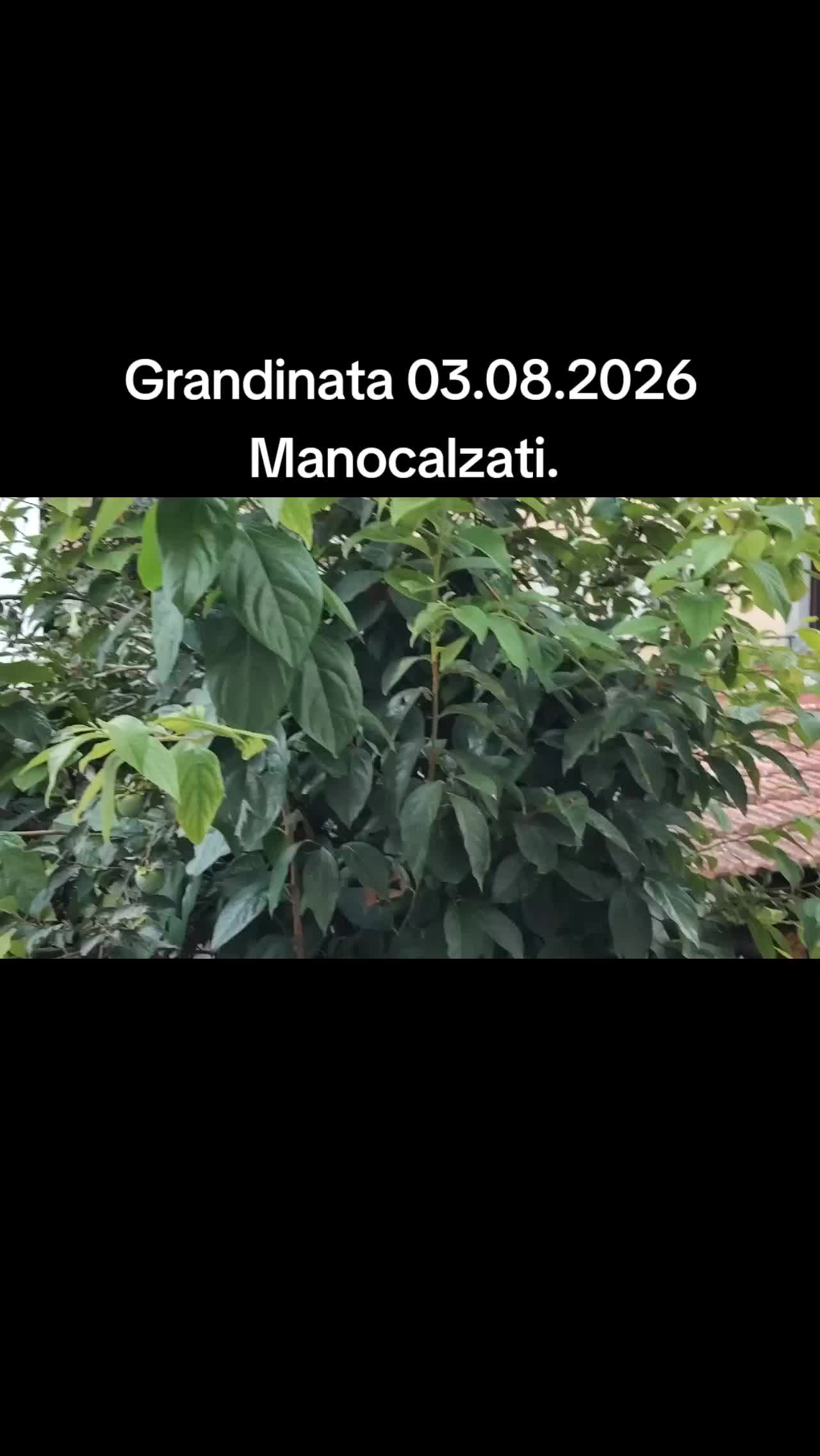 @Protezione Natura
