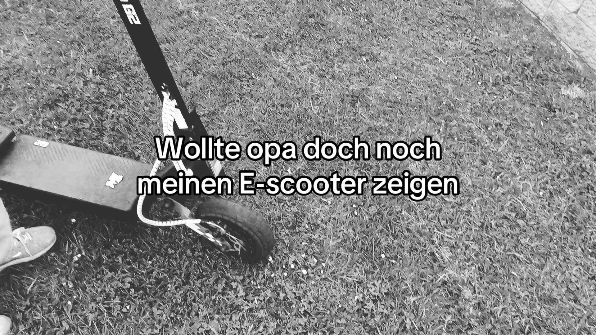 @foids.graper