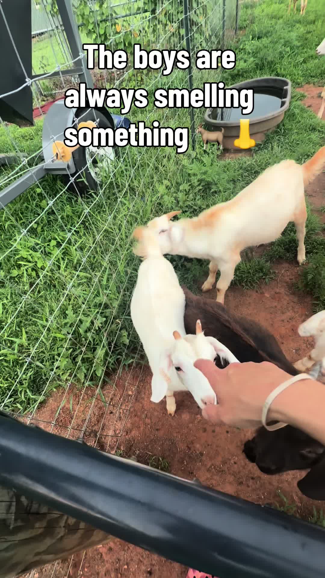 @J S FARMS