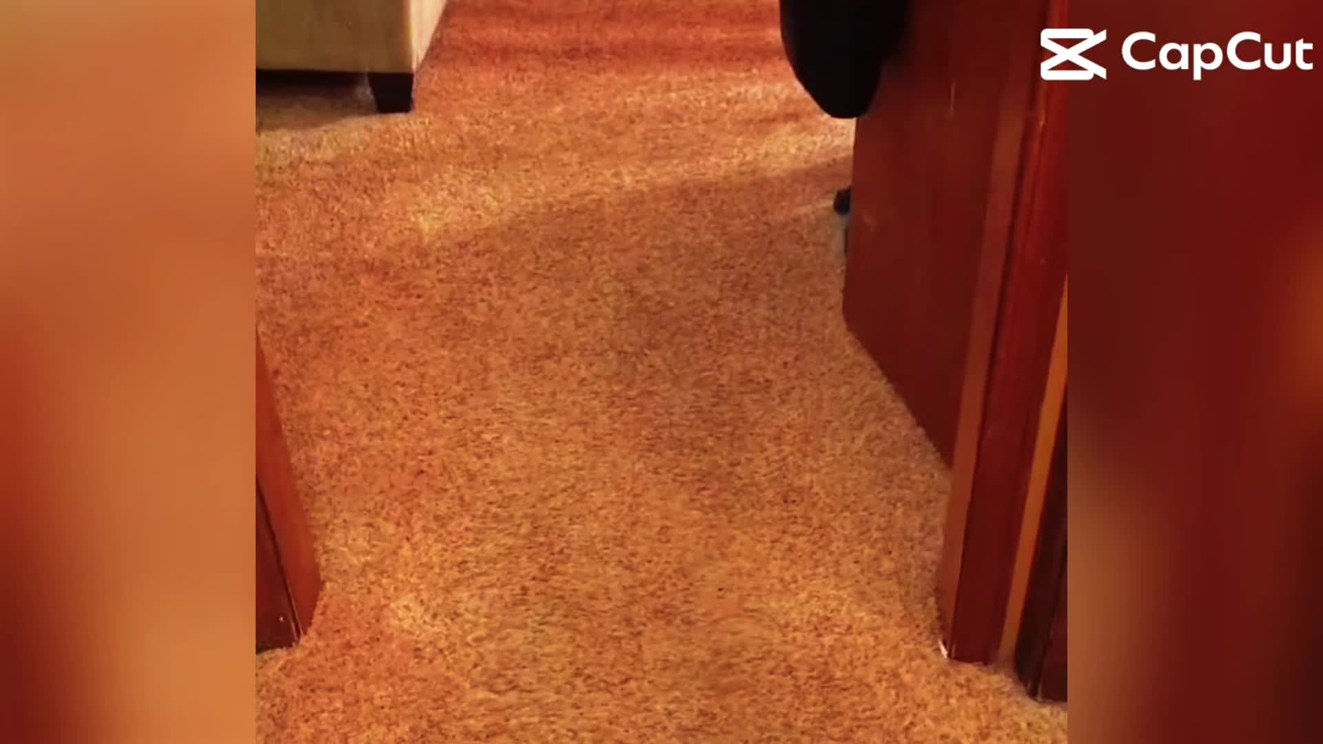 @Ksavv5