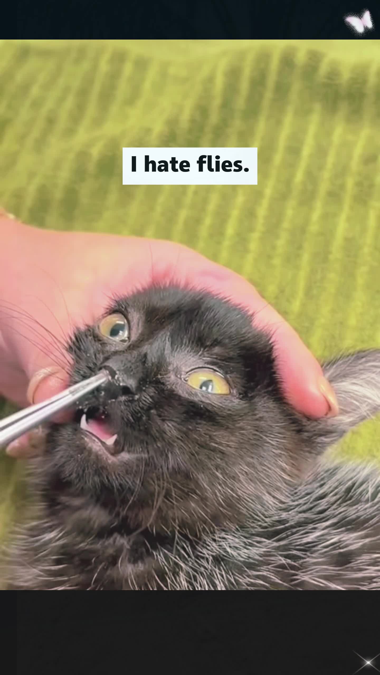@Animal rescue tips