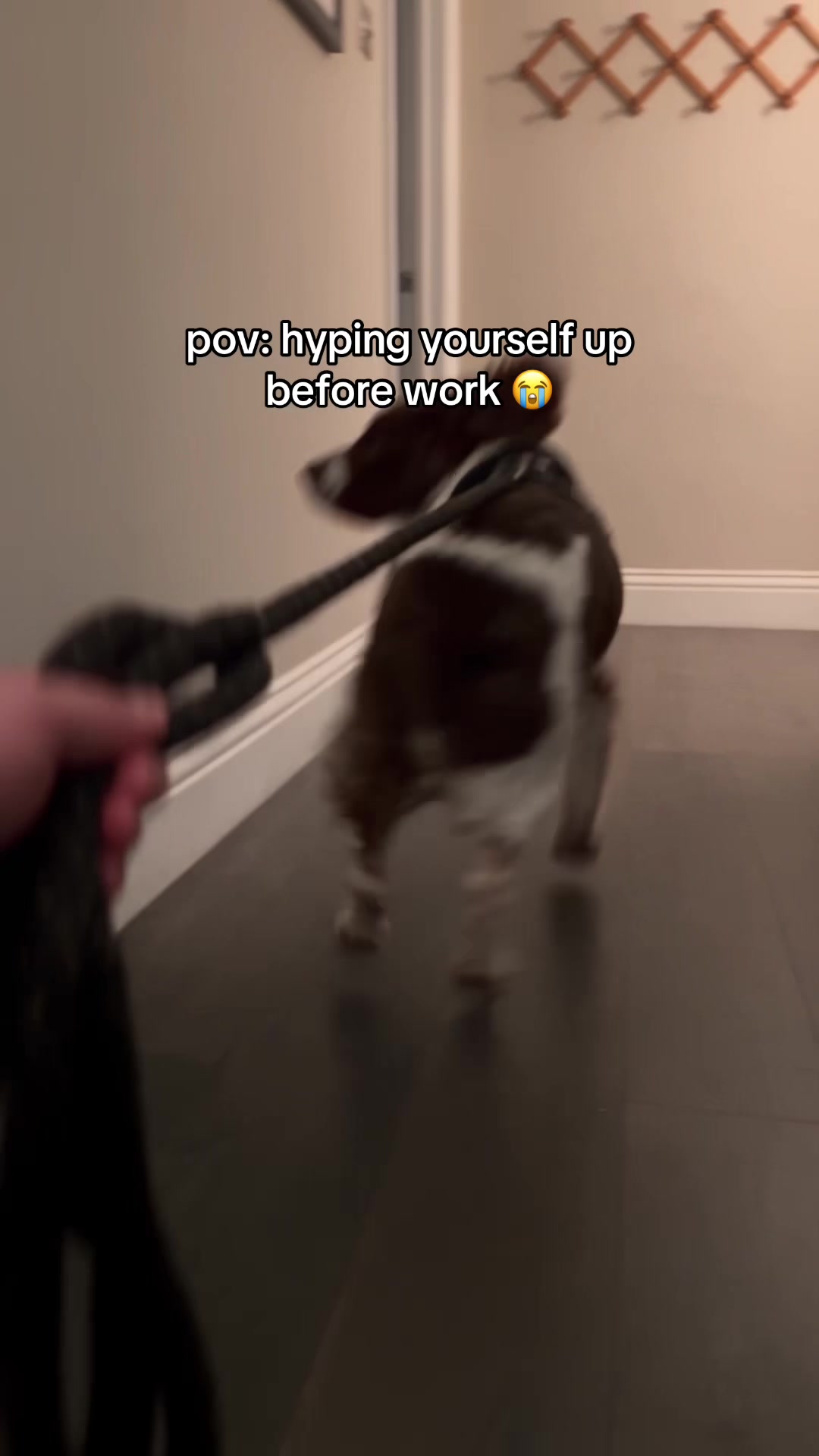 @Stitch the Snitch