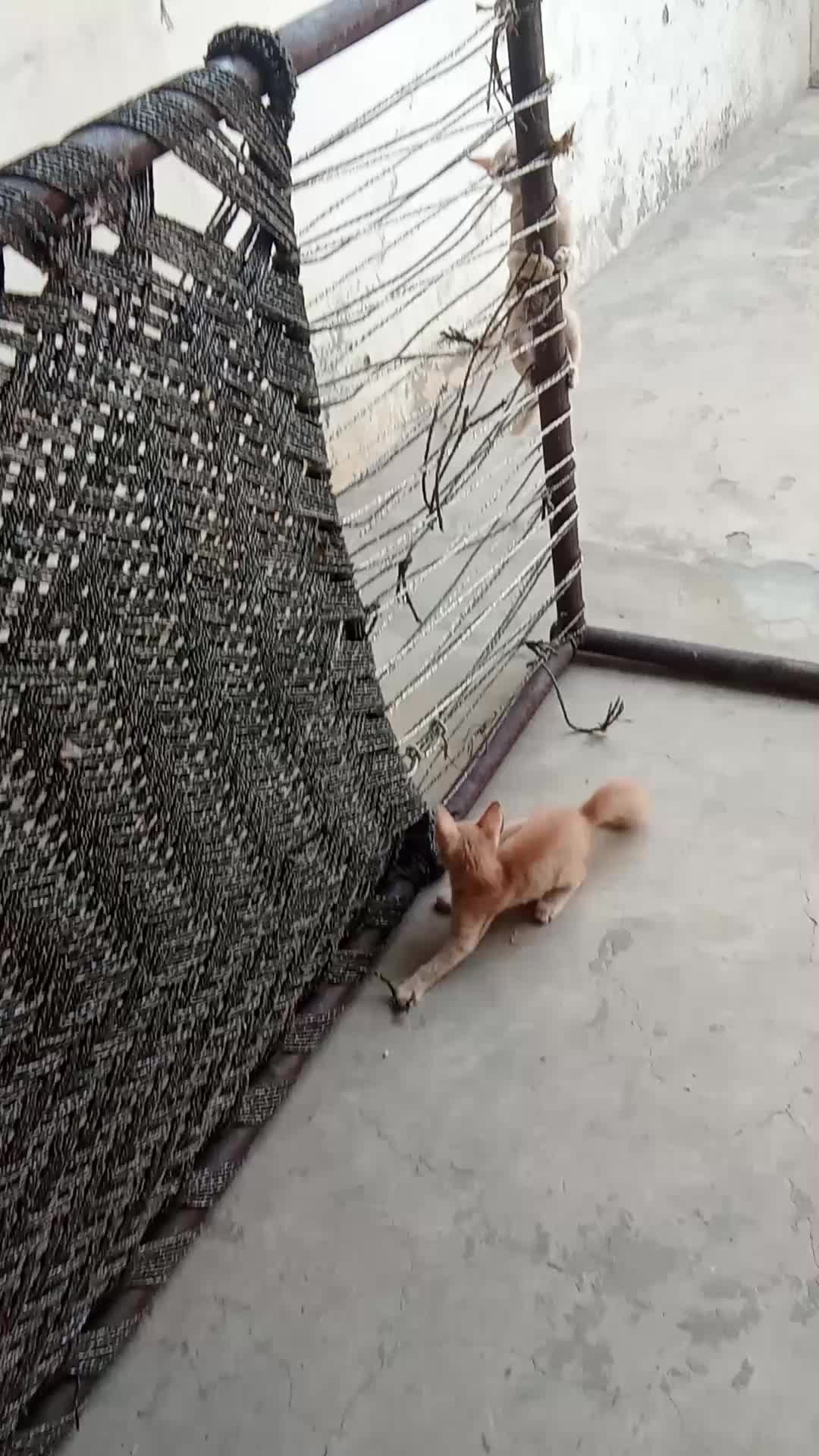 @cutecatlover8172