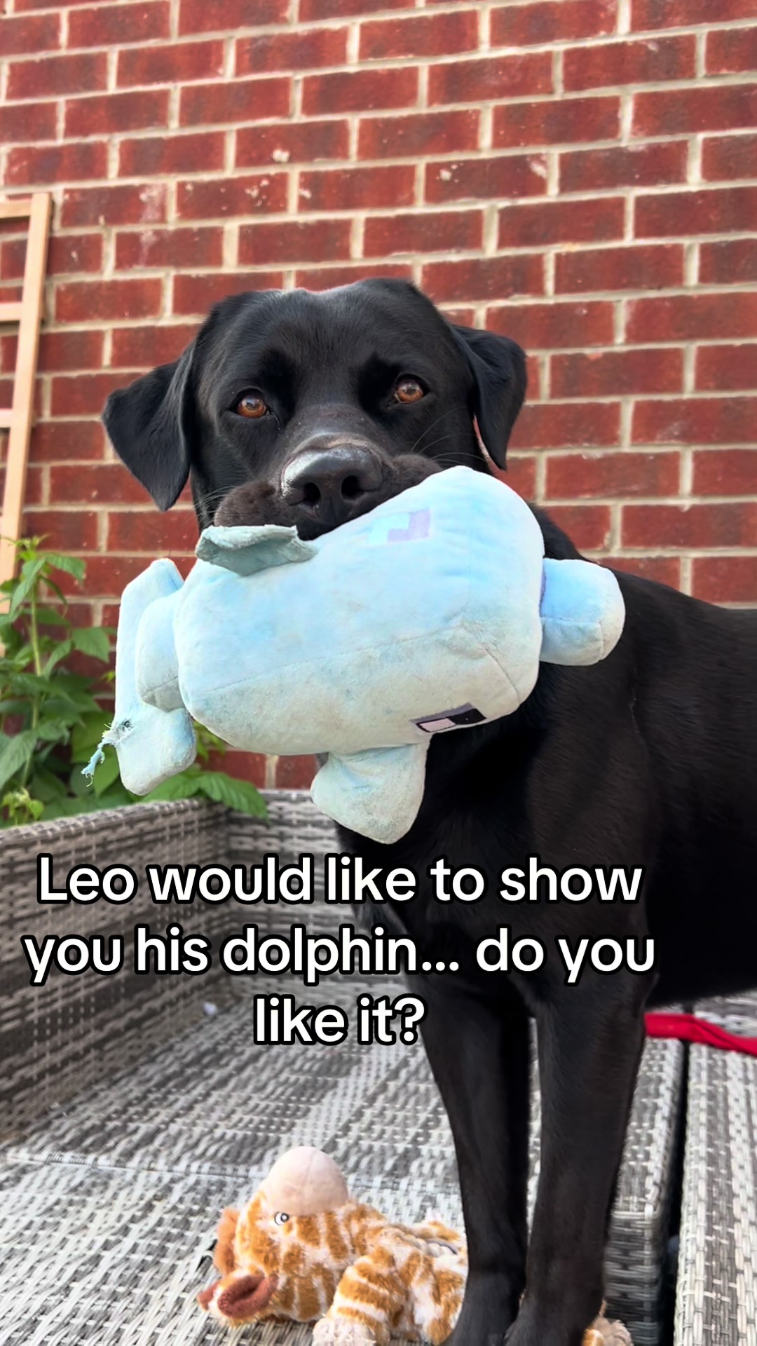 @Leo