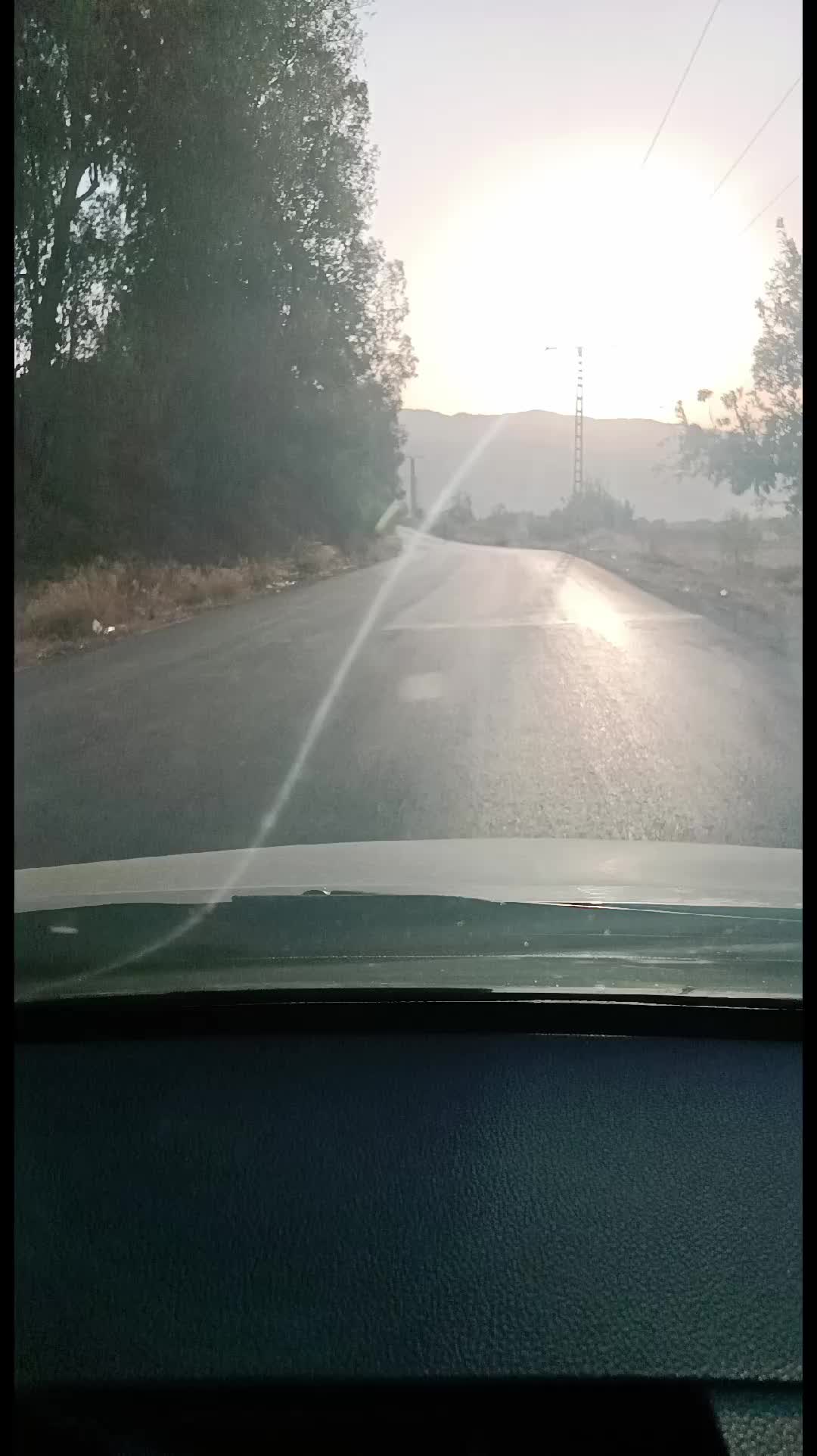 @kabyle-dz