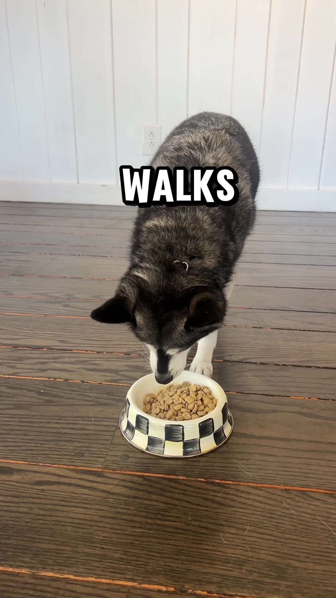 @lifewithkleekai