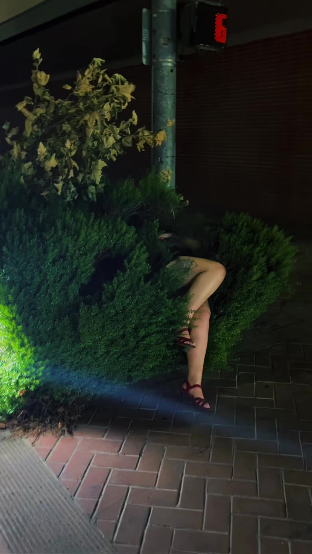 @𝖺𝗇𝖺𝗏 ﾒ𝟶