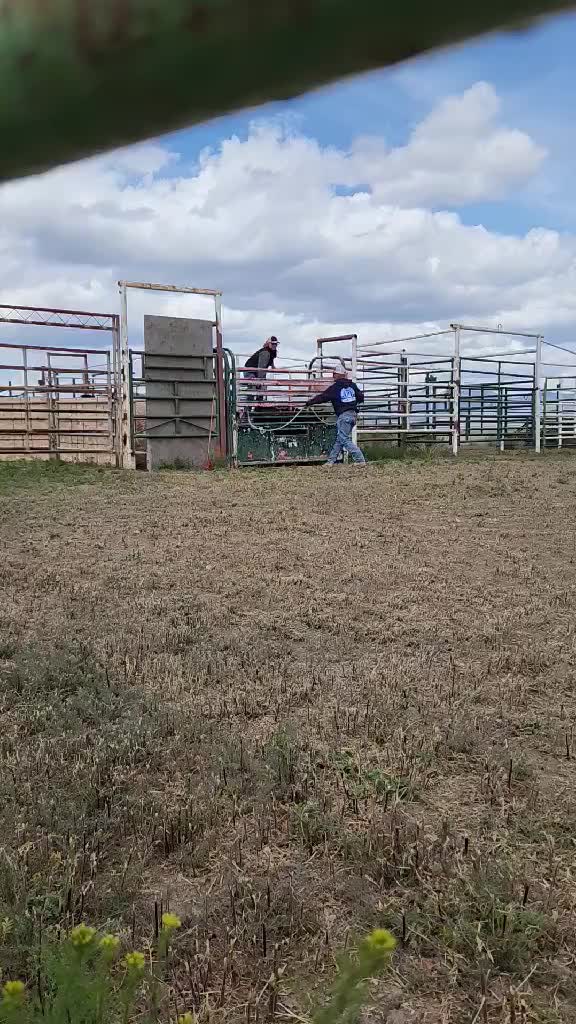@B&G Bucking Bulls