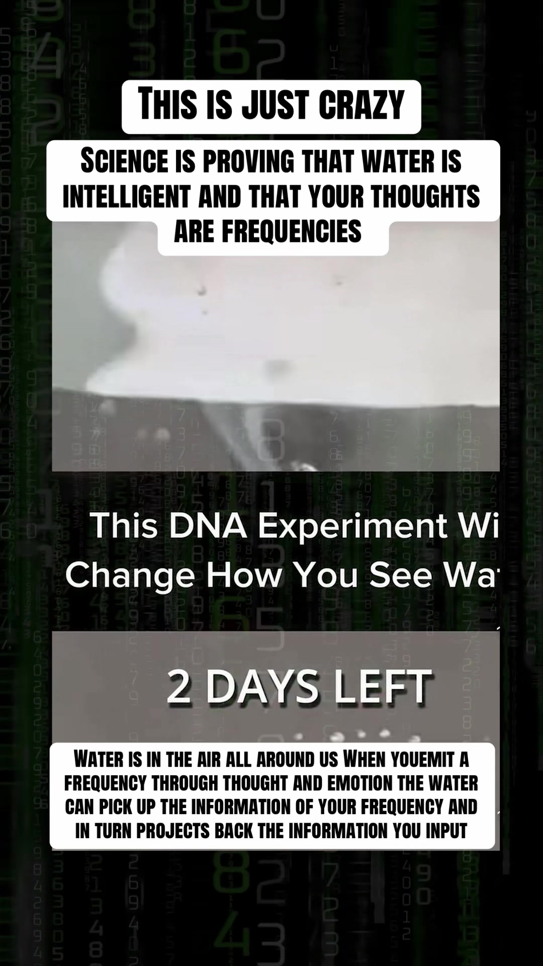 @Mind Awake | Reality Decoded