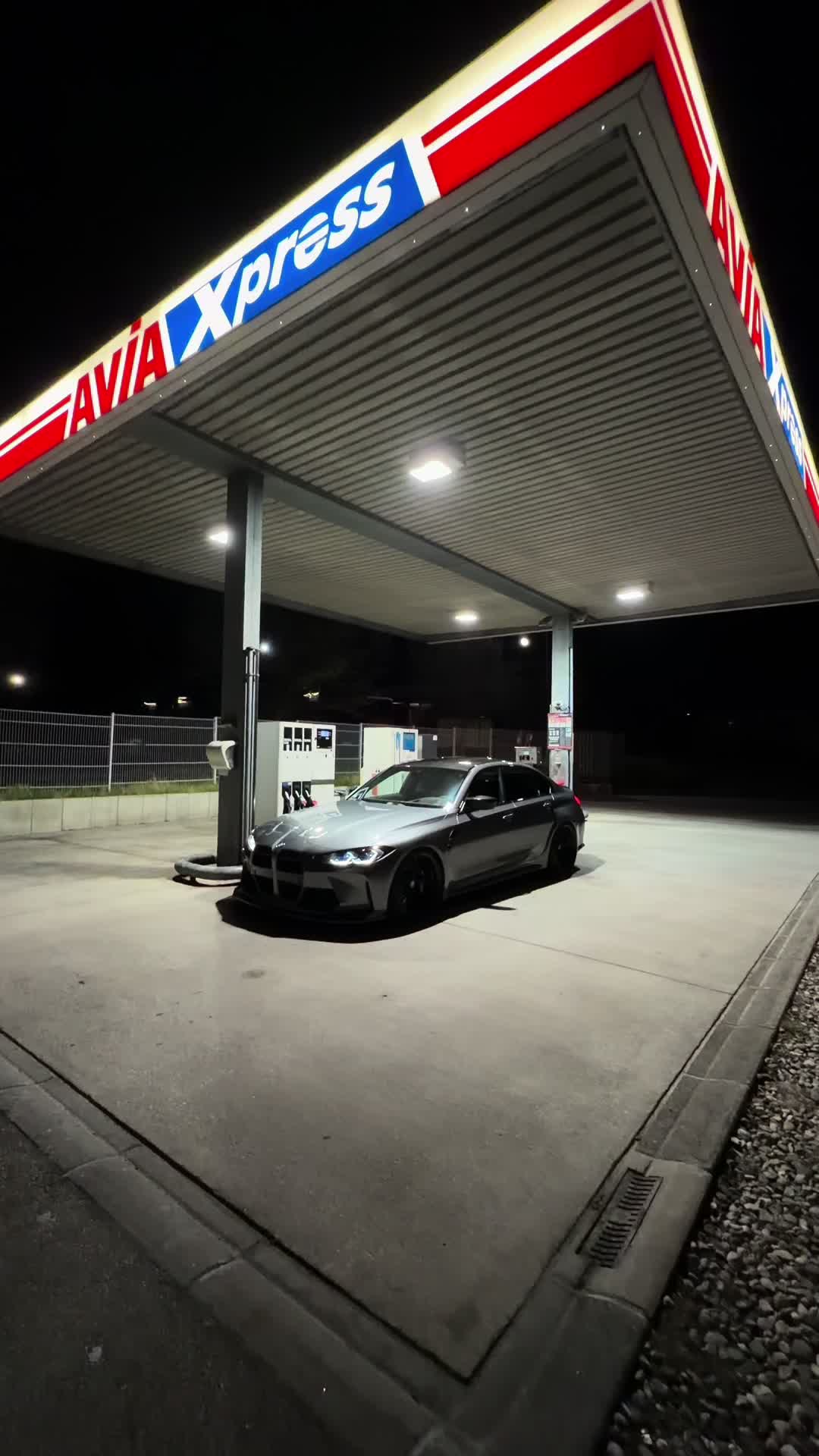 @x56 🦈